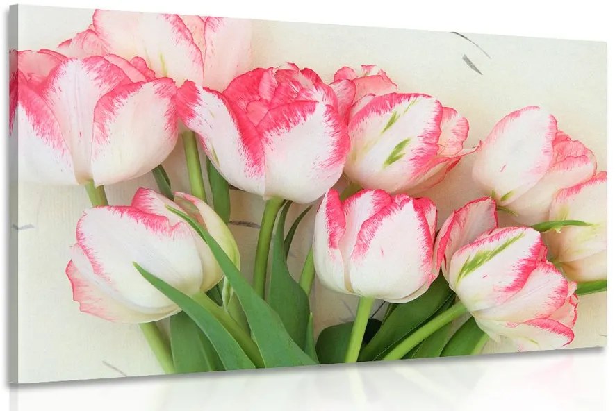 Stampa su tela – Tulipani primaverili