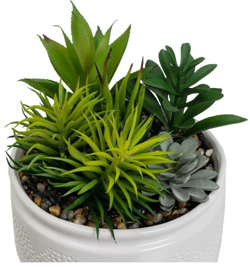 Piante artificiali in set da 2 (altezza 19 cm) Cactus - Casa Selección