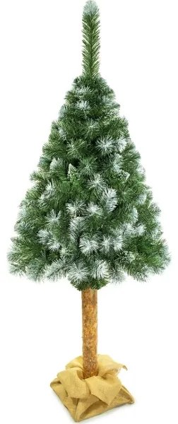 Albero di Natale su tronco 180 cm pino