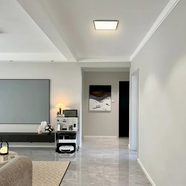 Brilagi - Luce LED dimmerabile SLIMFRAME LED/36W/230V 45x45 cm nero + +TC