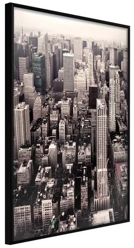 Poster  New York from a Bird's Eye View  Cornice Quadri Cornice nera, Larghezza x Altezza Home decor 20x30