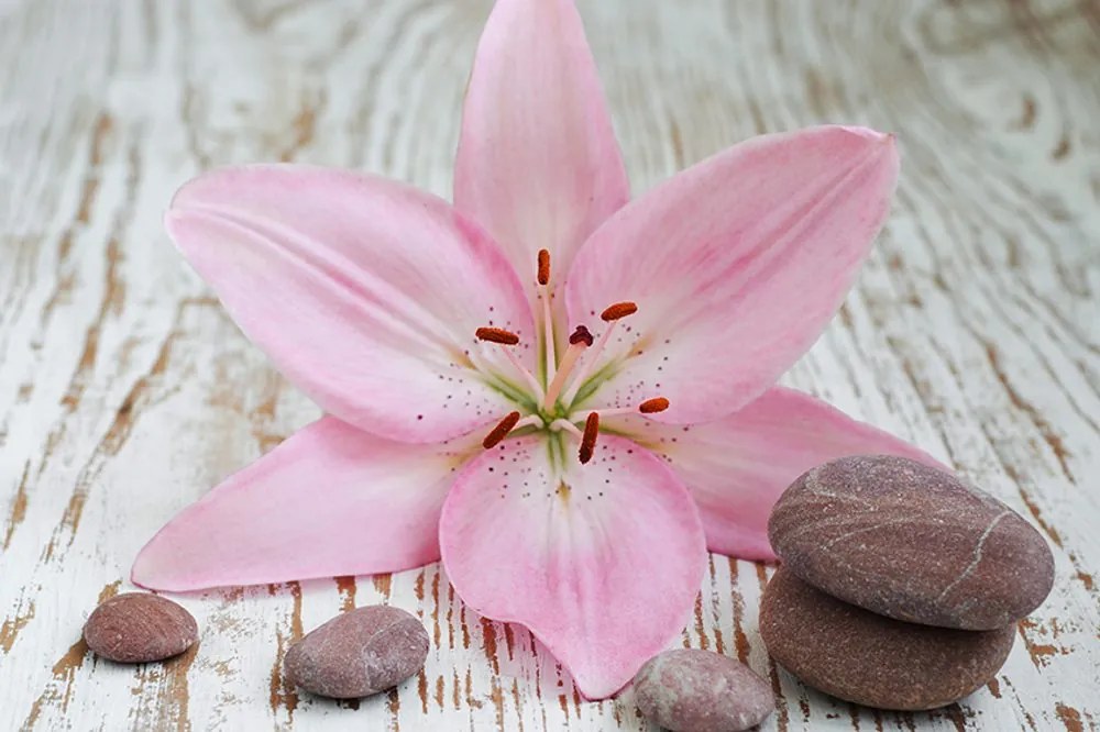 Carta da parati autoadesiva – Giglio rosa e pietre Zen