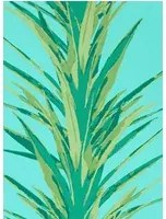 Tapete Yucca von Sanderson - Sky/ Green