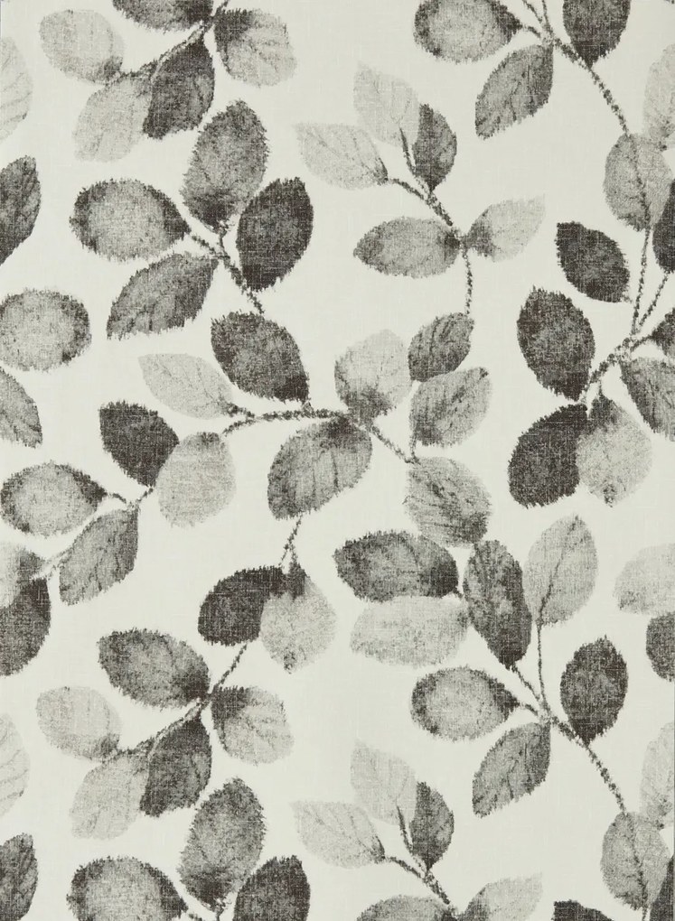 Clarke & Clarke Tapete Northia - Charcoal