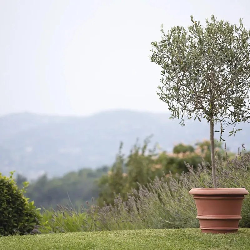 Vaso per piante e fiori CONCA in terracotta terracotta H 39 cm Ø 48 cm