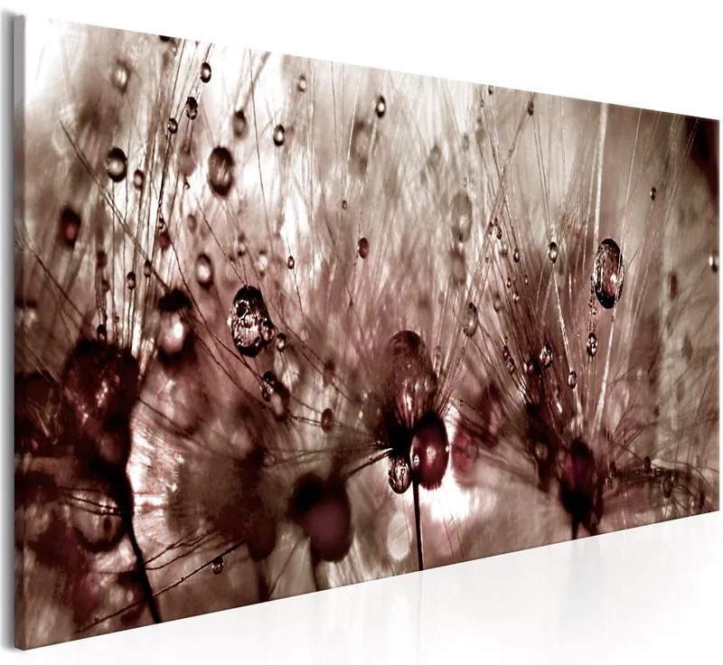 Quadro  Dandelions After Rain  Colore Bianco, Dimensioni e Misure 150x50