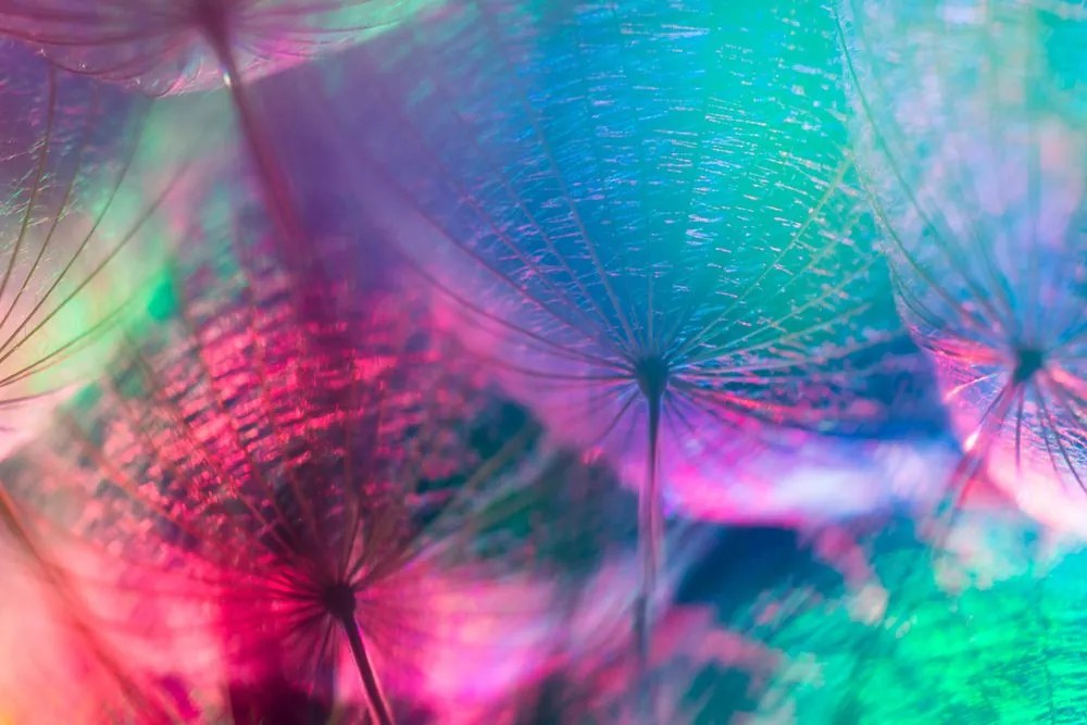 Stampa su tela – Soffione in colori pastello