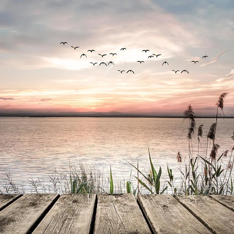 Dipinto su tela Sunset, multicolore 110 x 80 cm
