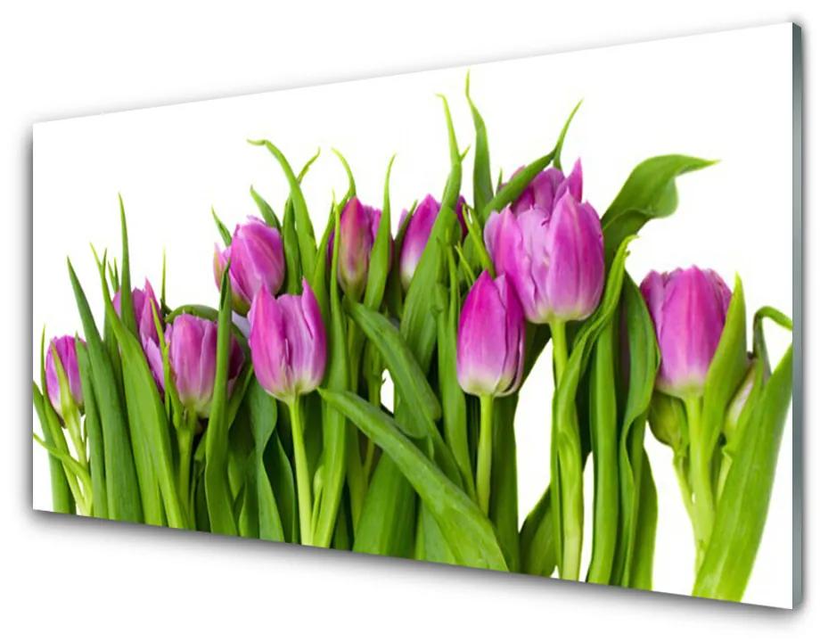 Quadro vetro acrilico Tulipani, fiori, piante 100x50 cm