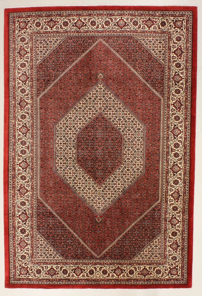 Bidjar Tappeto 310 x 210 (Iran) Annodato A Mano