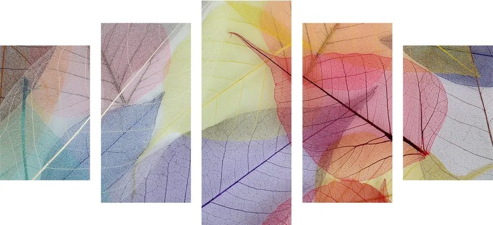 Quadri 5 pezzi – Venature su foglie colorate