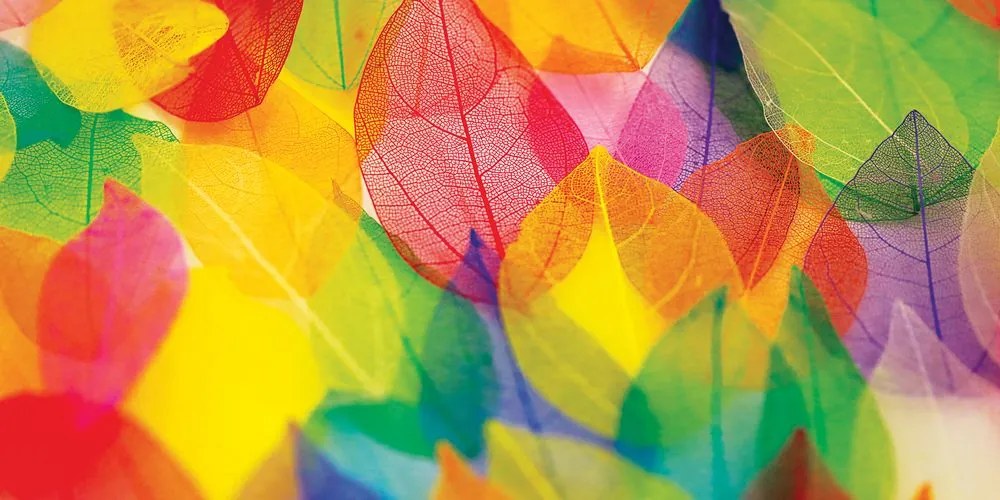 Quadro su tela – Foglie in colori autunnali