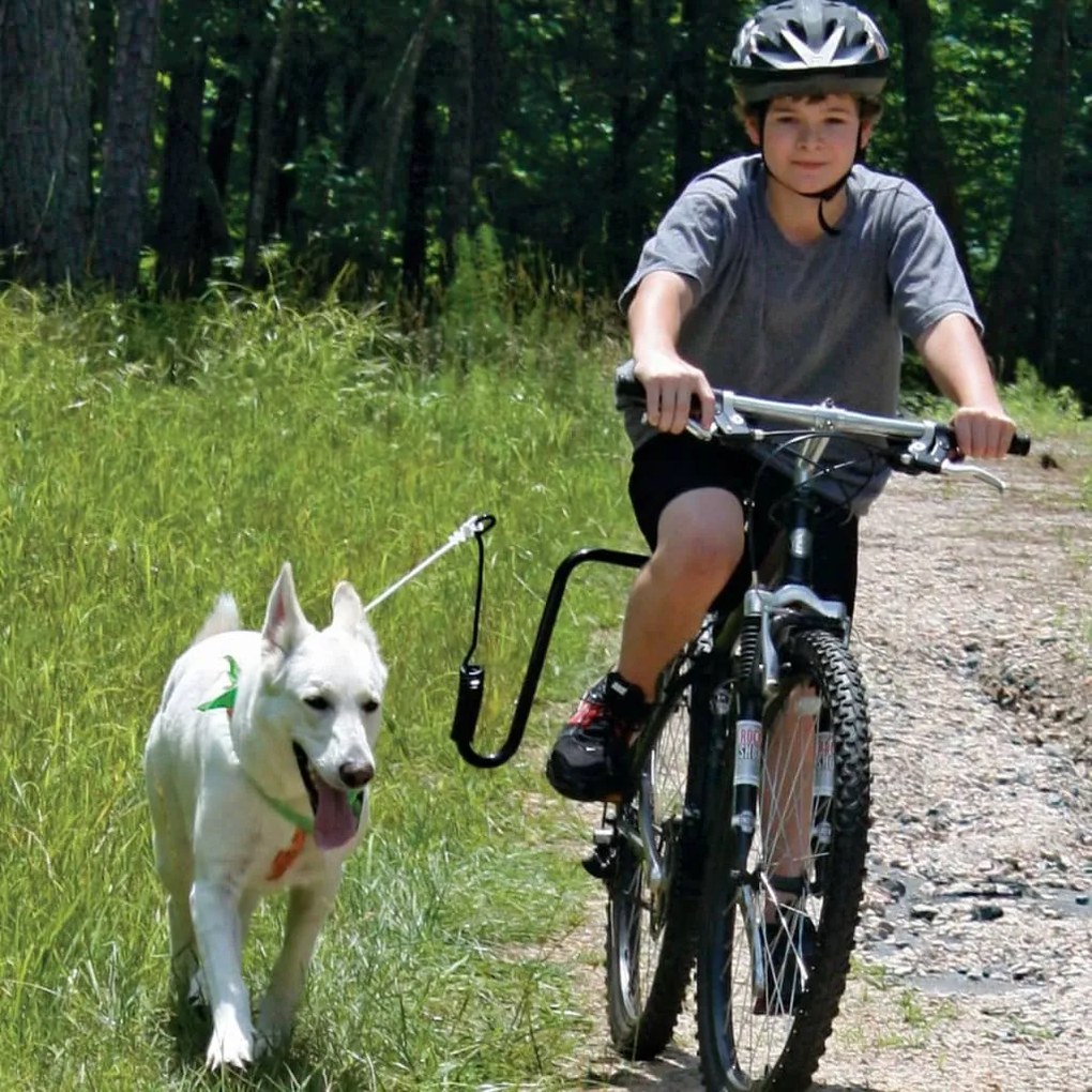 Springer kit ginnico per bicicletta per cani