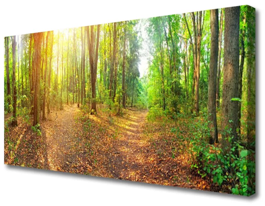 Quadro stampa su tela Sole. Natura. Sentiero nel bosco 100x50 cm