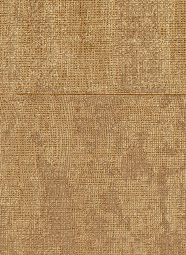 Élitis Carta da parati Atelier d'Artiste - VP 880 76