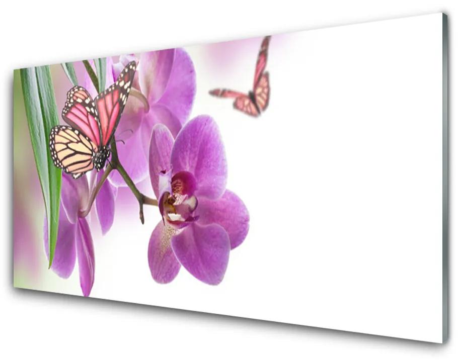Quadro su vetro acrilico Farfalle Fiori Natura 100x50 cm