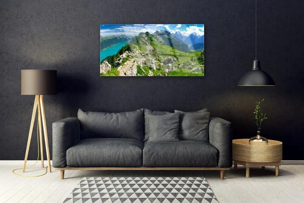 Quadro acrilico Paesaggio della natura della montagna del prato 100x50 cm