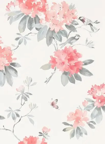 Florale Tapete Rhodera von Sanderson - Coral/ Grey