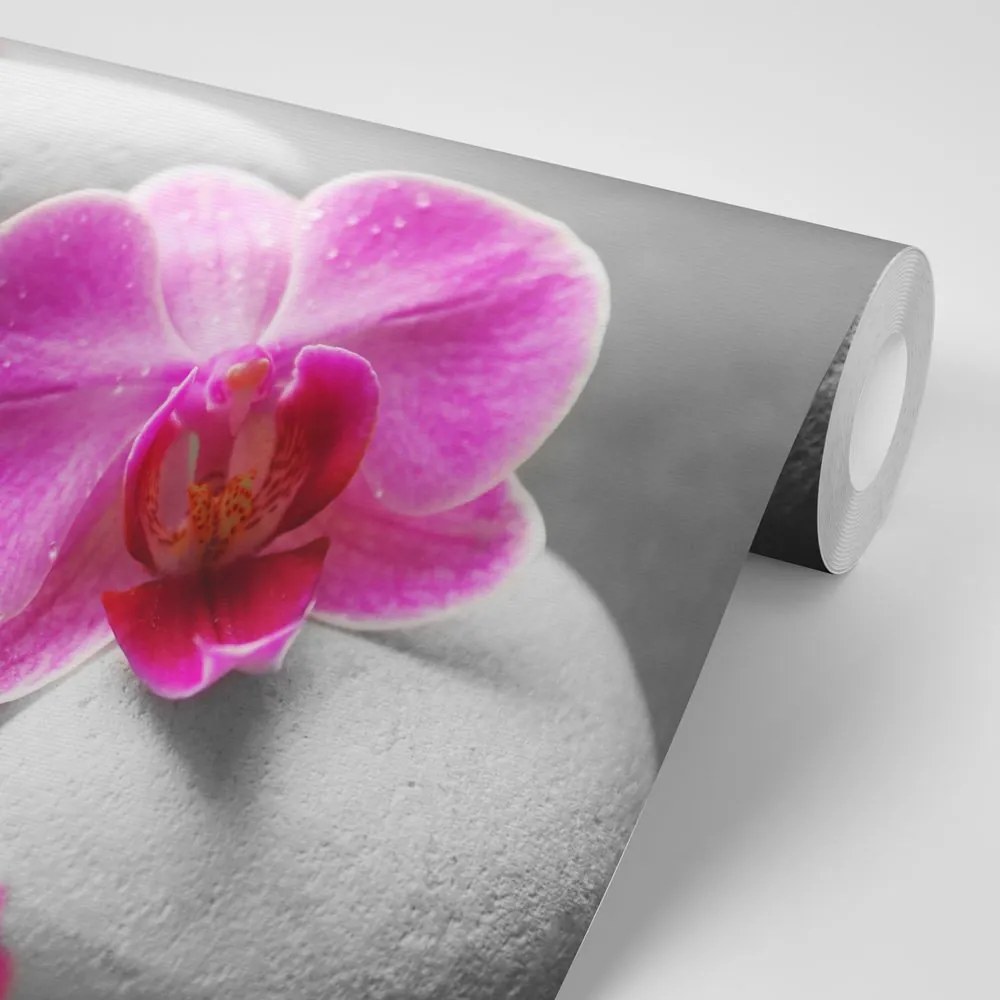 Carta da parati – Fiori di orchidea su pietre