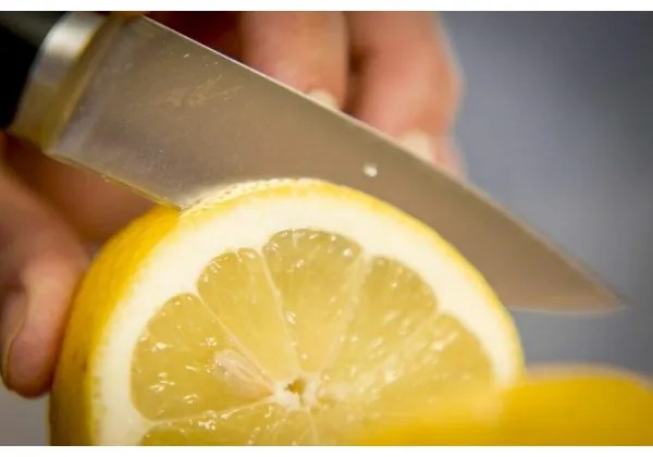 Tefal - Coltello inox ICE FORCE 9 cm cromo/nero