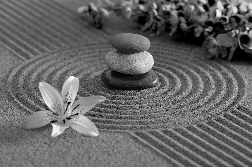 Carta da parati autoadesiva – Giardino Zen in bianco e nero