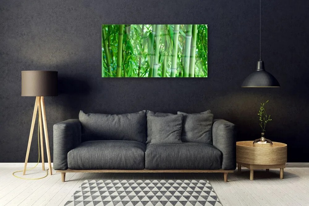 Quadro vetro acrilico Stelo di piante di bambù 100x50 cm