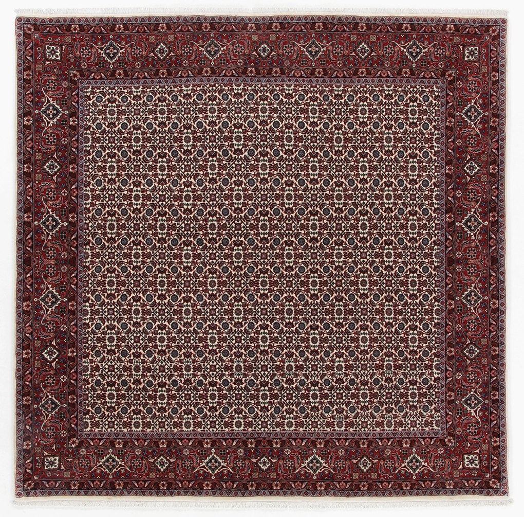 Bidjar Tappeto persiano 200 x 200 (Iran) Annodato A Mano