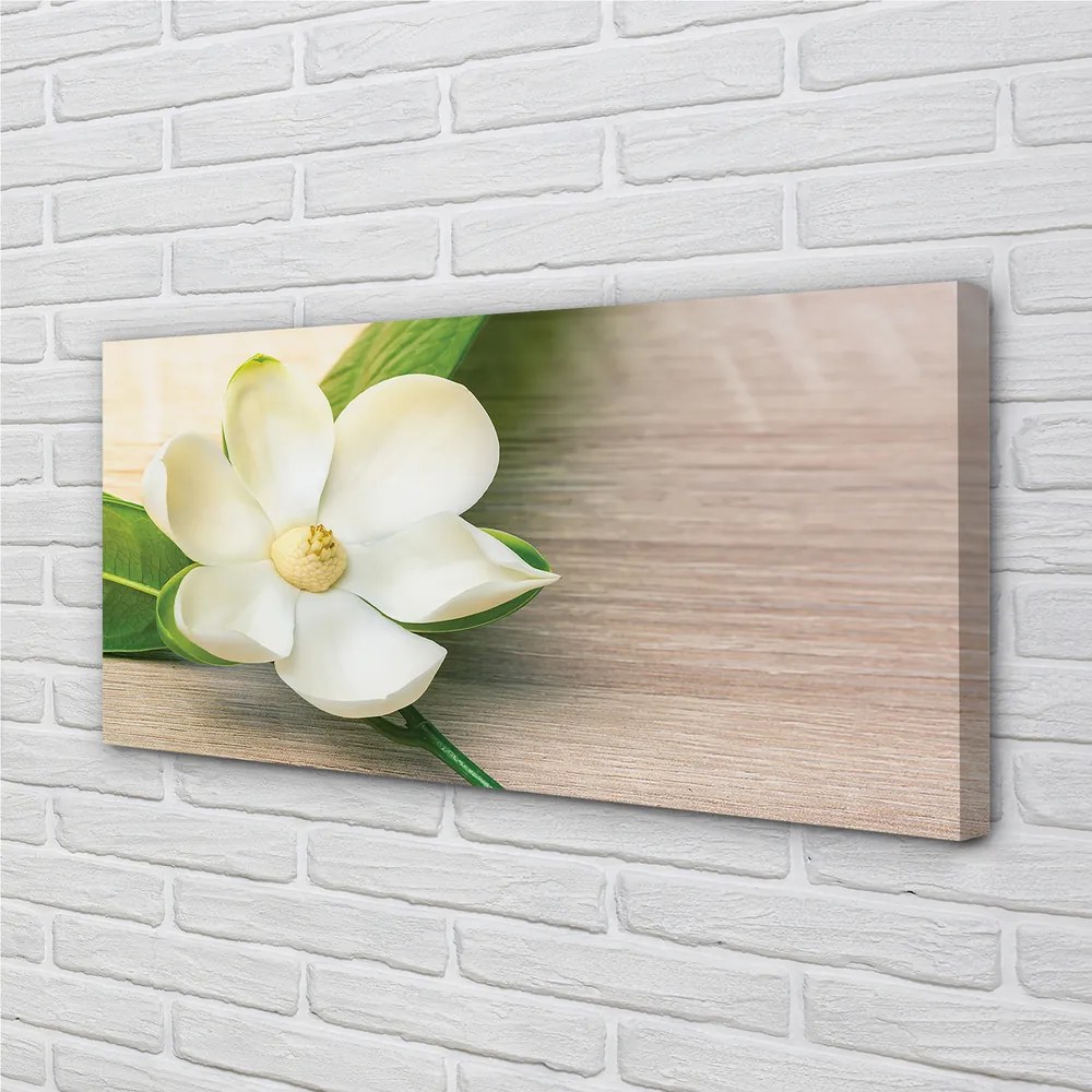 Stampa quadro su tela Magnolia bianca 100x50 cm