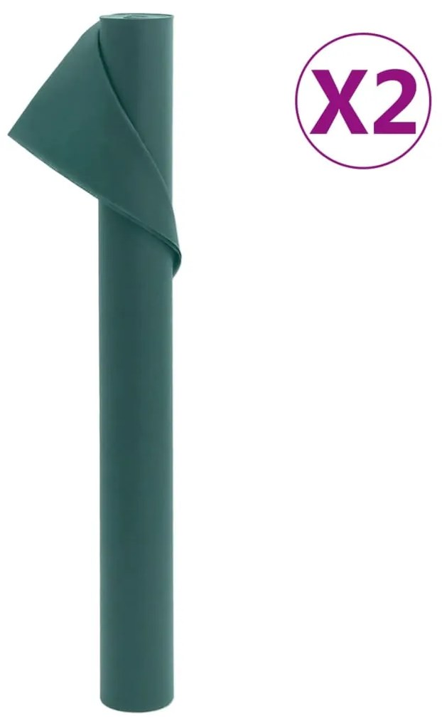 Copertura Per Piante 2 Rotoli 70 G/m² 10x1,6 M /