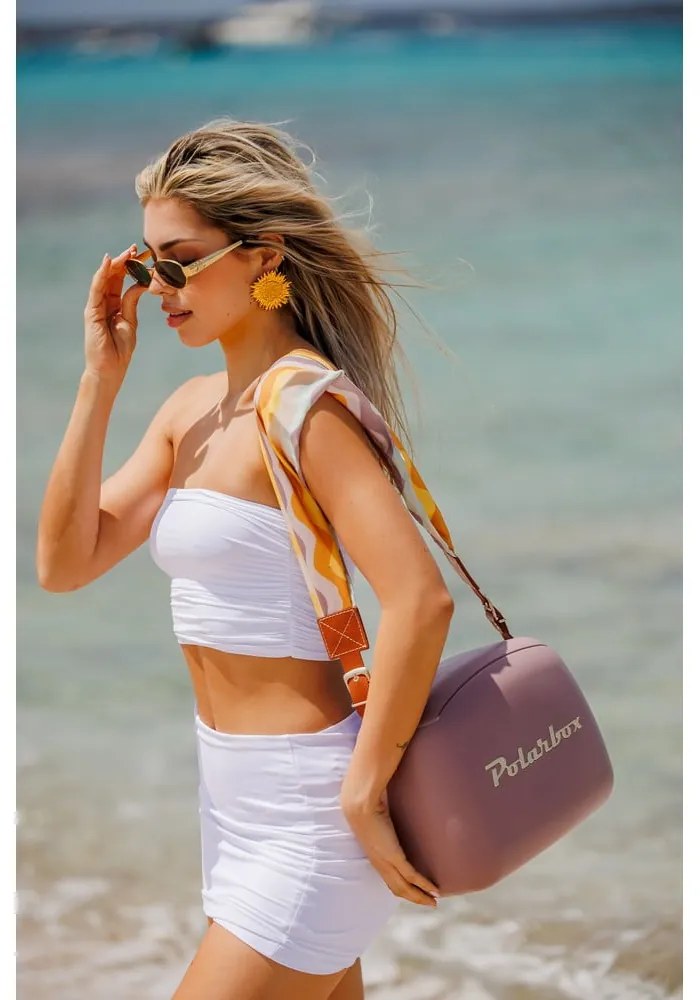 Borsa frigo marrone 6 l Classic Gold – Polarbox