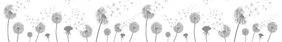 Adesivo per finestre 200x40 cm Dandelions - Ambiance