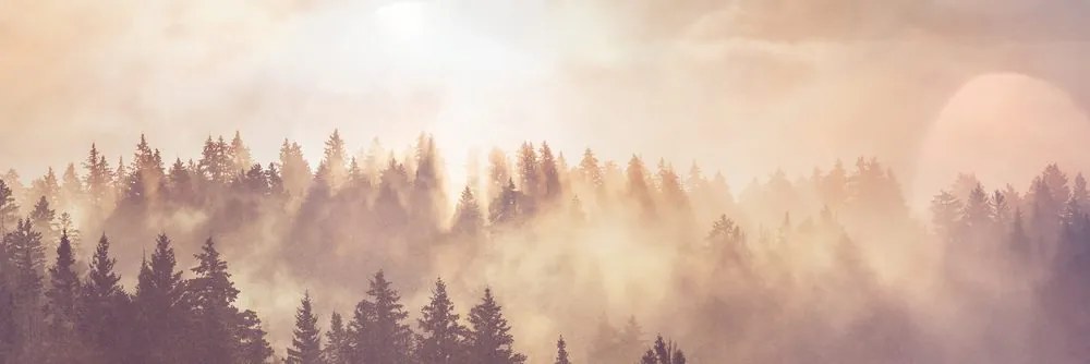Stampa su tela – Nebbia sopra la foresta