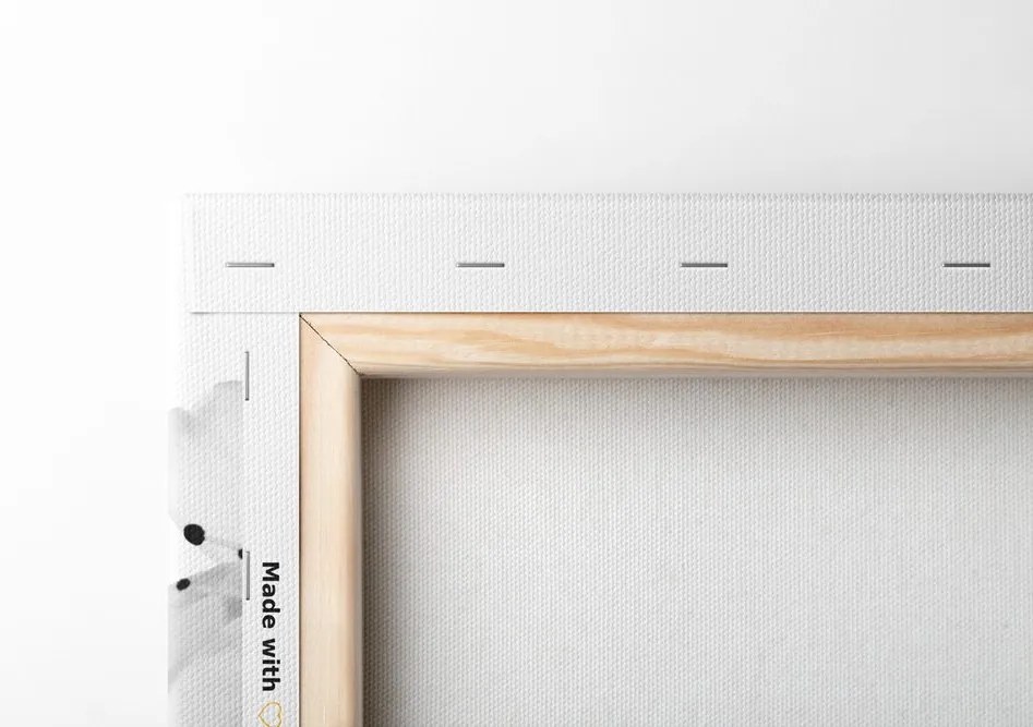 Quadro su tela – Fiori di ciliegio in bianco e nero