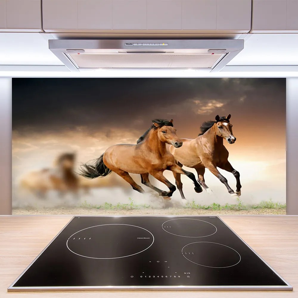 Pannello cucina paraschizzi Animali cavalli 140x70 cm