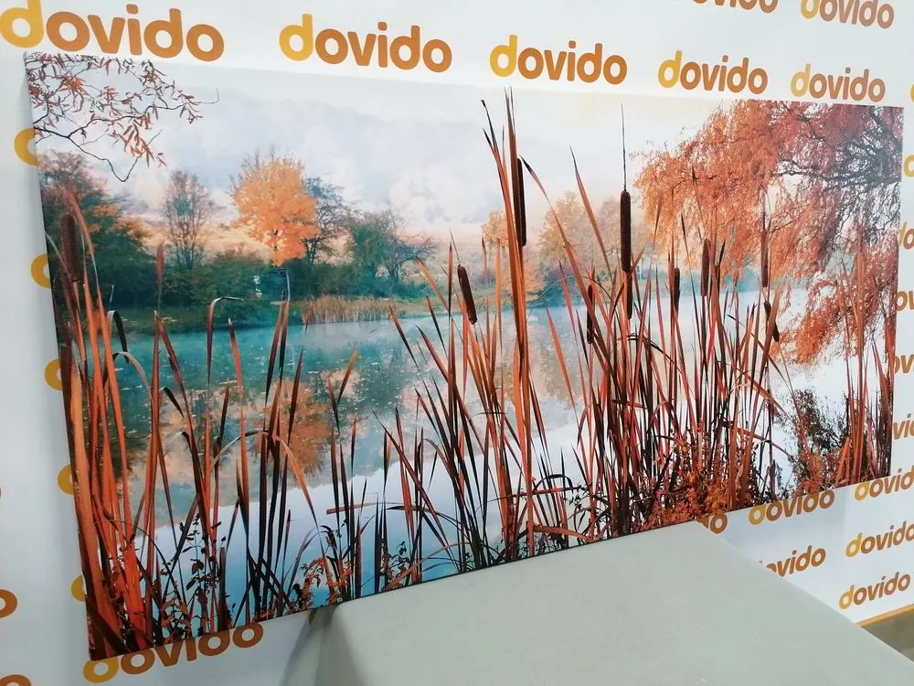 Quadro su tela – Fiume nel mezzo della natura autunnale