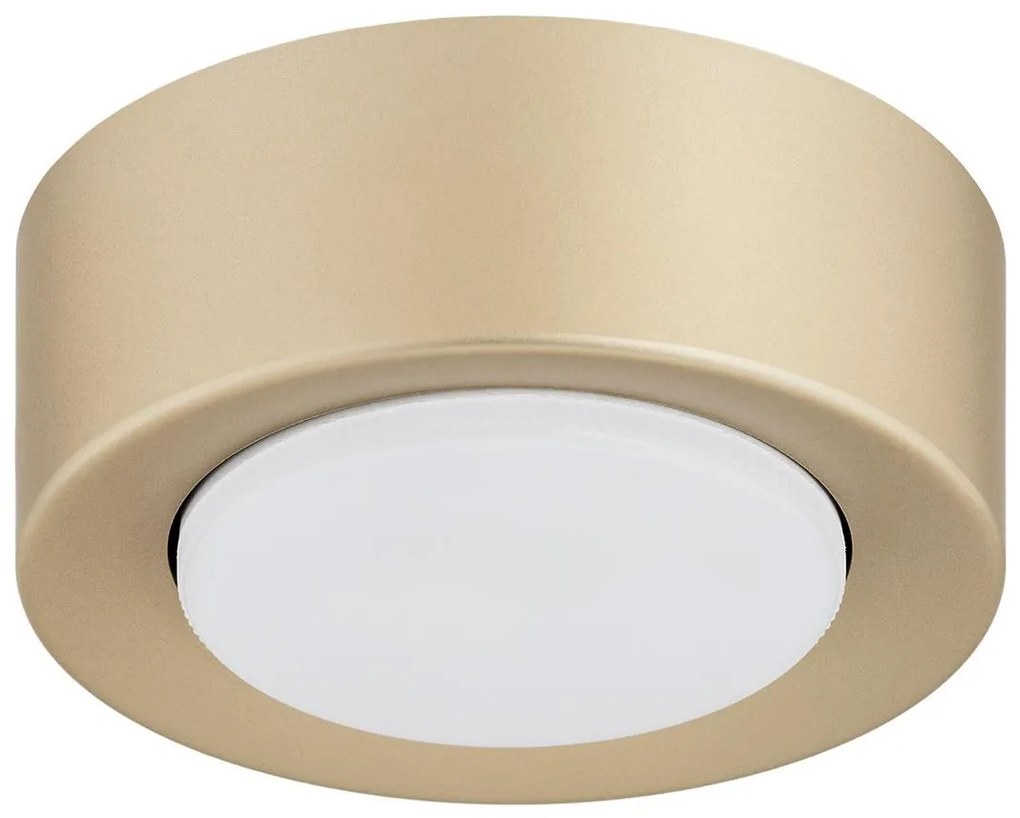 Argon 8903 - Plafoniera ELORA 1xGX53/7W/230V Ø 11 cm dorata