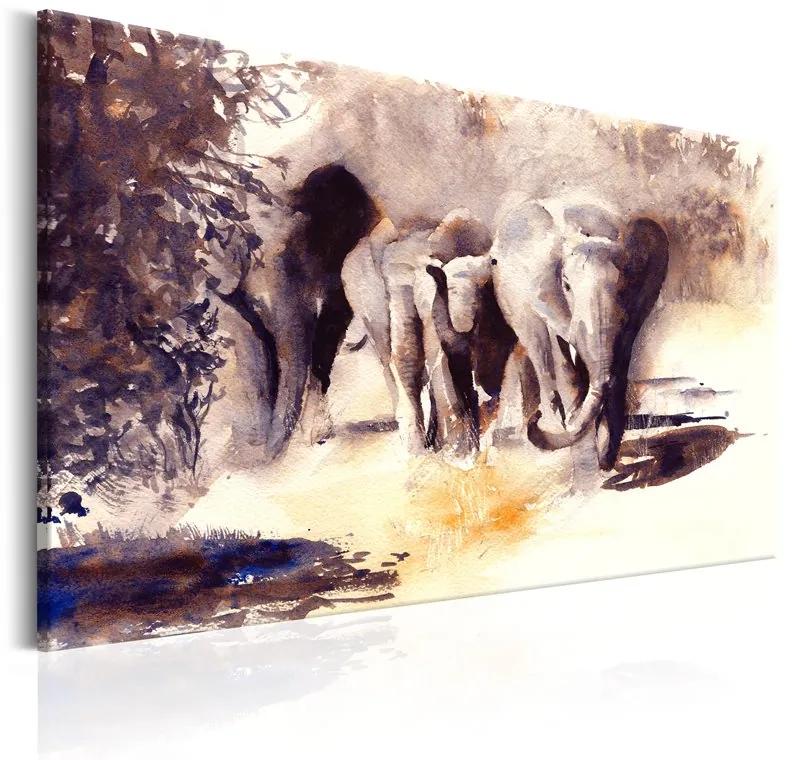 Quadro Watercolour Elephants