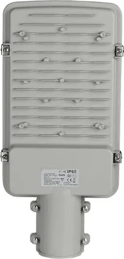Lampione LED SAMSUNG CHIP LED/30W/230V 6400K IP65