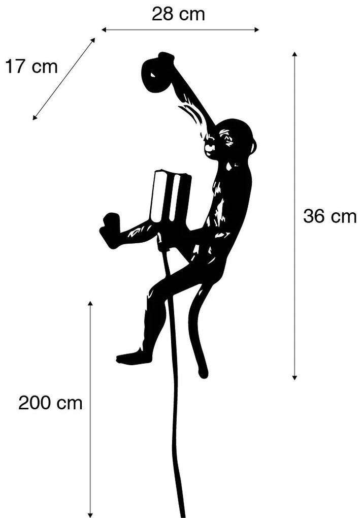 Applique da parete scimmia dorata - Animal Monkey