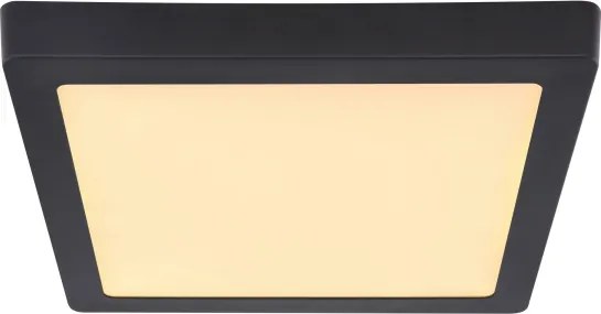 Globo 12374-24 - Plafoniera LED DINO LED/22W/230V