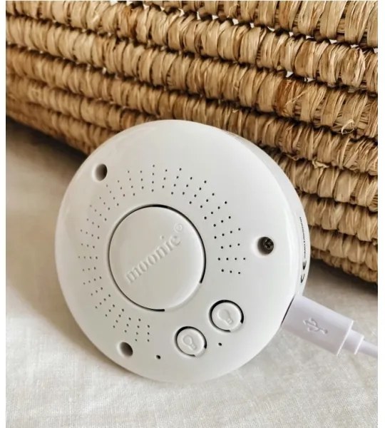 Moonie - Amico di coccole con una melodia e luce orso argento