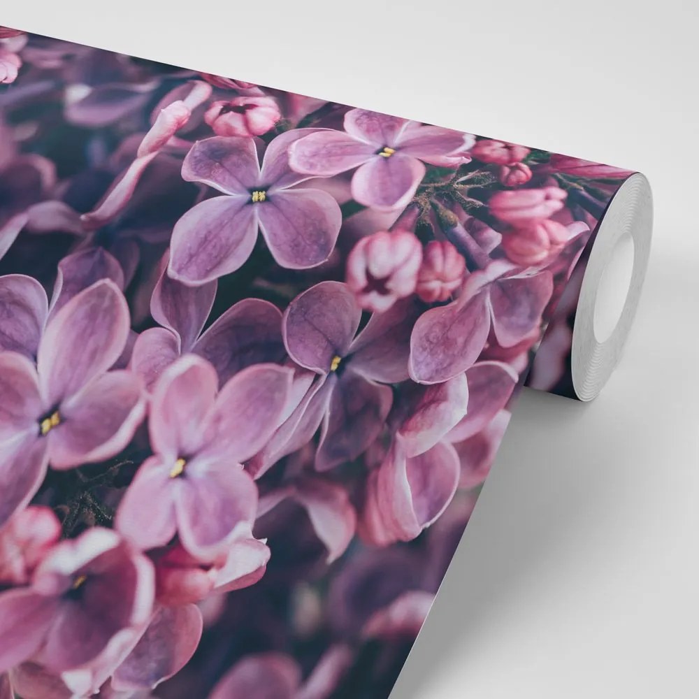 Carta da parati – Fiori di lillà viola