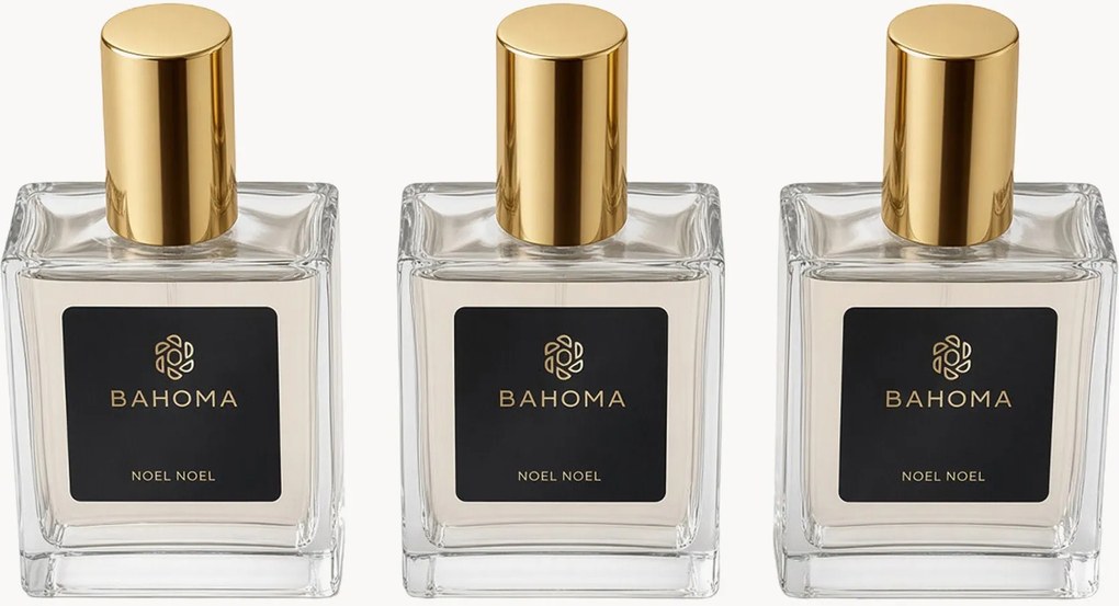 Set di 3 profumi per ambienti Noel Noel (anice, prugna)