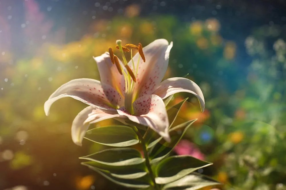 Carta da parati – Fiore splendido con tocco retrò