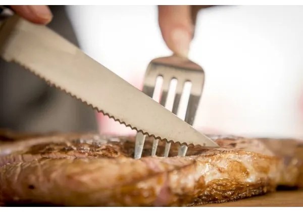 Tefal - Set da 4 coltelli da bistecca in acciaio inox ICE FORCE 11 cm cromo/nero