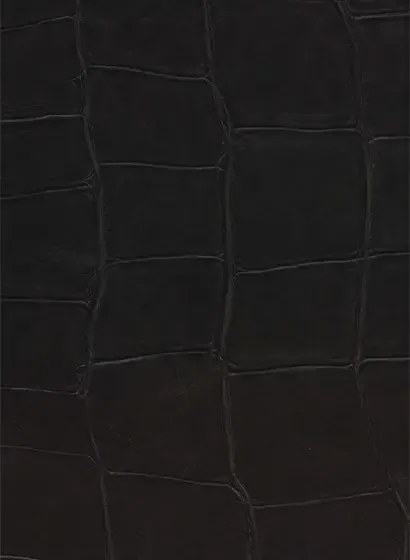 Élitis Carta da parati Big Croco - Schwarz VP 423 06
