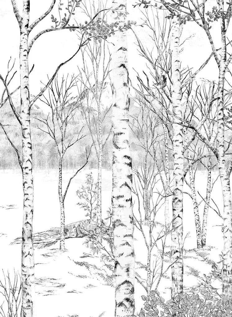 Isidore Leroy Carta da parati panoramica Nunavut Grisaille - Panel C