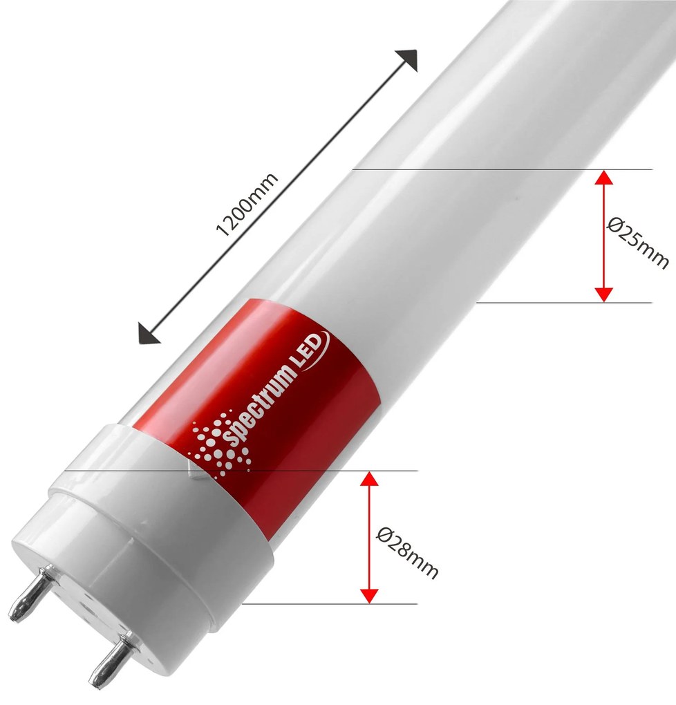 Tubo / Lampada fluorescente a LED Neutral White 120CM T8 230V 17W WOJ+22304