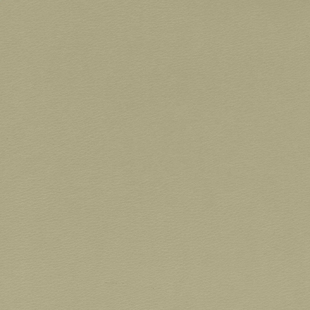 Florida cuscino disponibile in diversi colori realizzato in ecopelle resistente impermeabile T04 beige