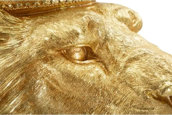 Re Leone Shant Cm 30X42X74